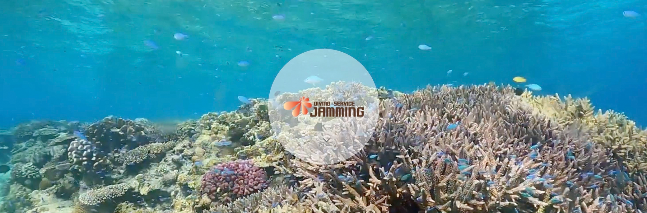 ジャミングKV画像　スタッフの笑顔