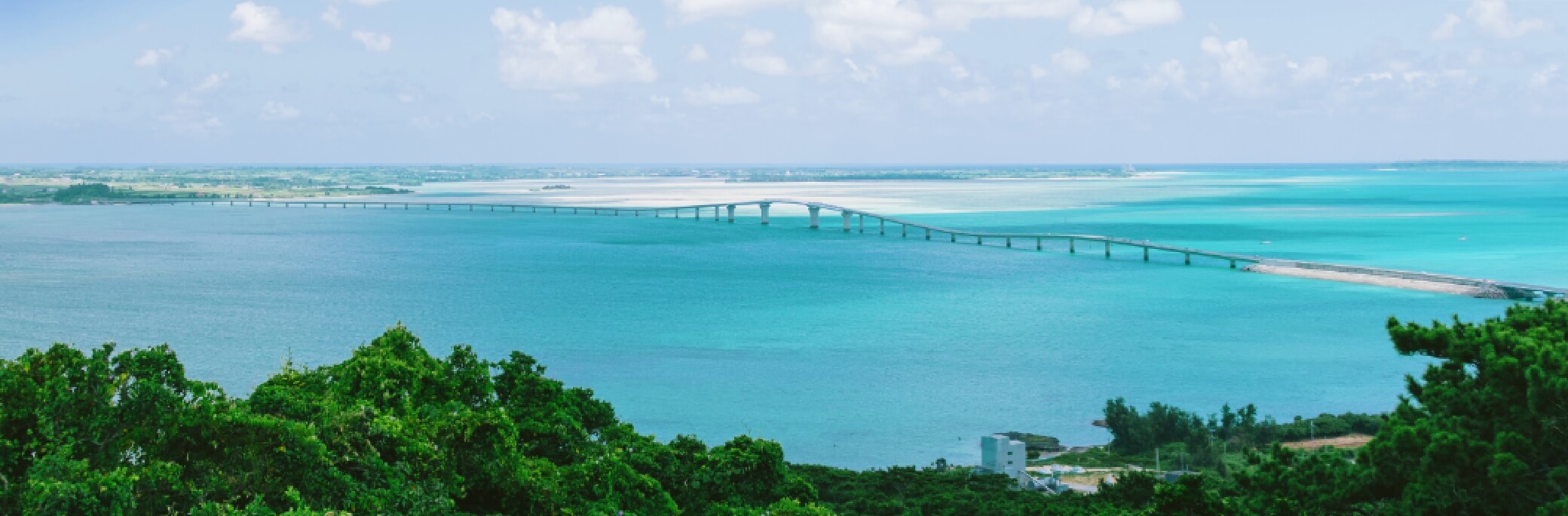 マリンズプロ宮古KV画像